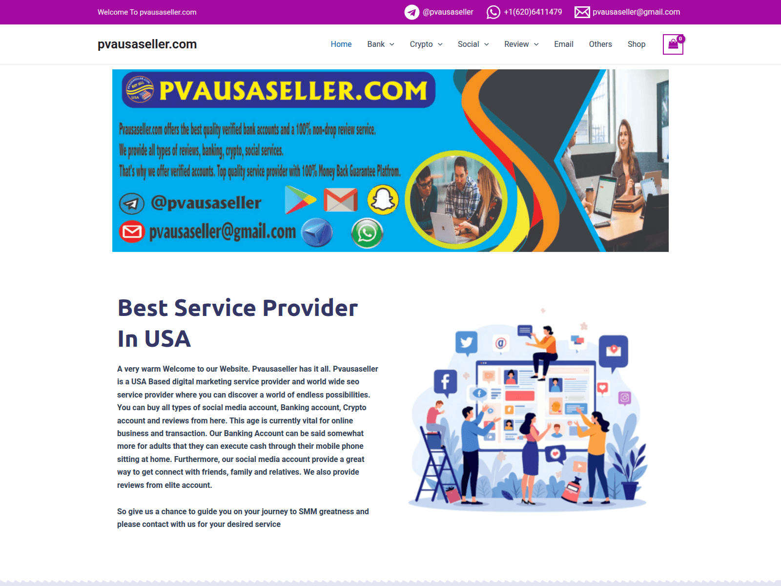 Screenshot of pvausaseller.com