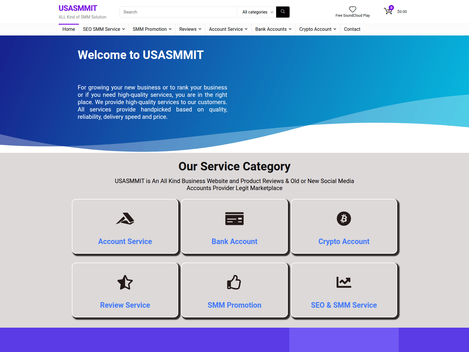 Screenshot of usasmmit.com