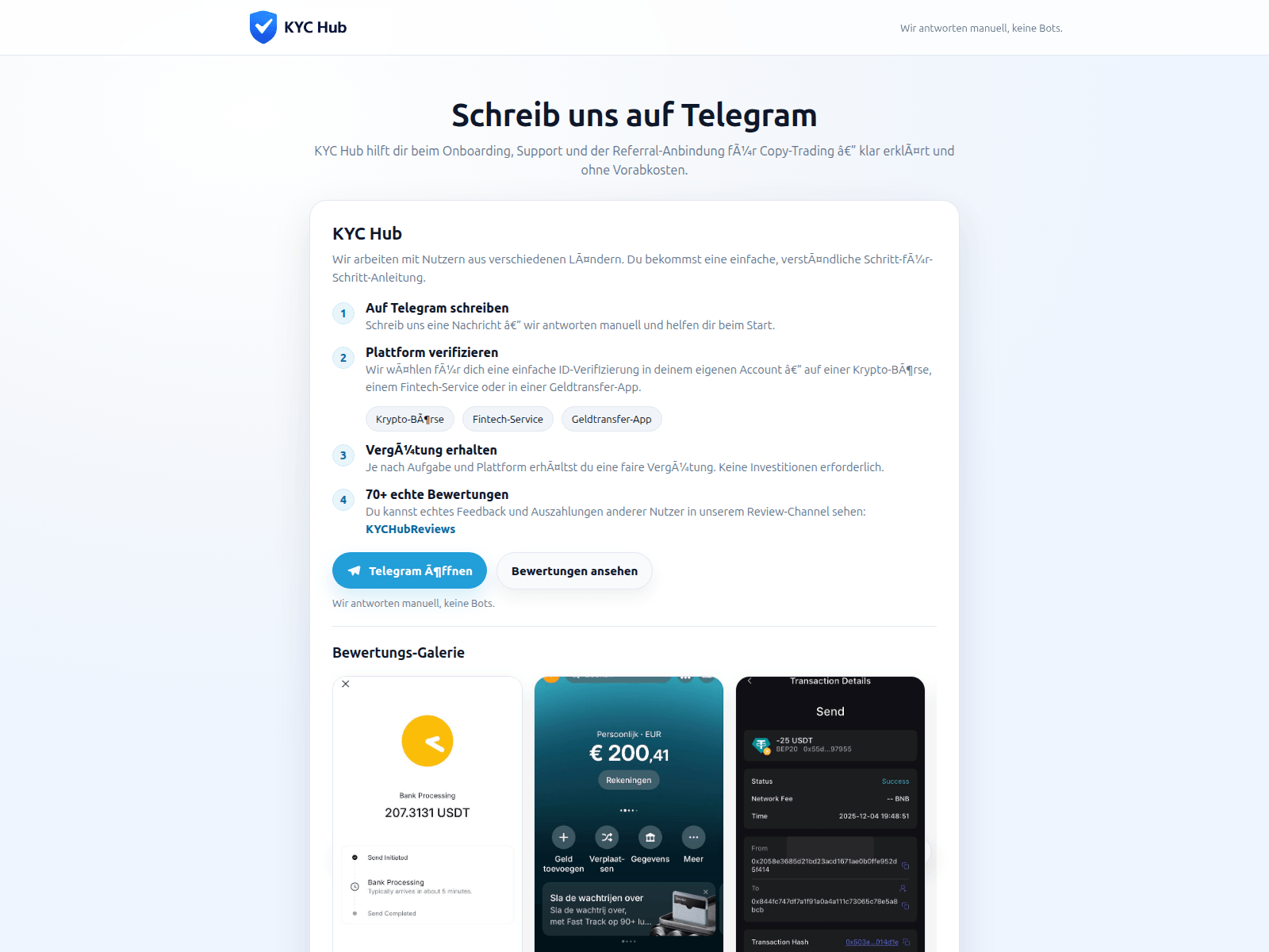 Screenshot of www.germanyverify.com