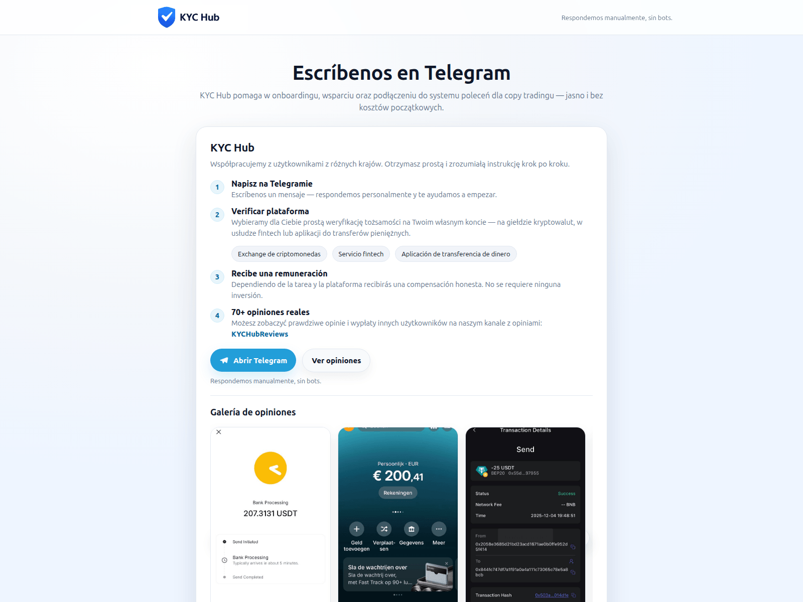 Screenshot of www.verifyspain.com
