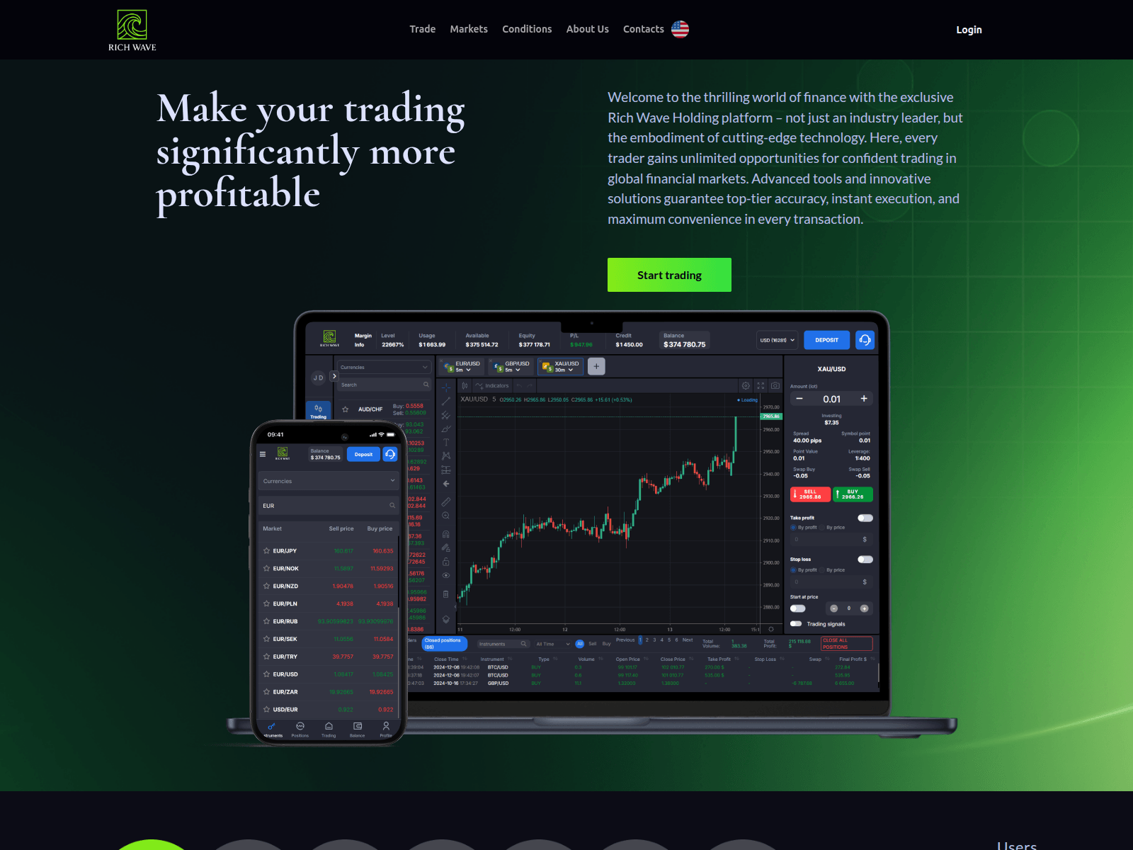 Screenshot of richwaveholding.com