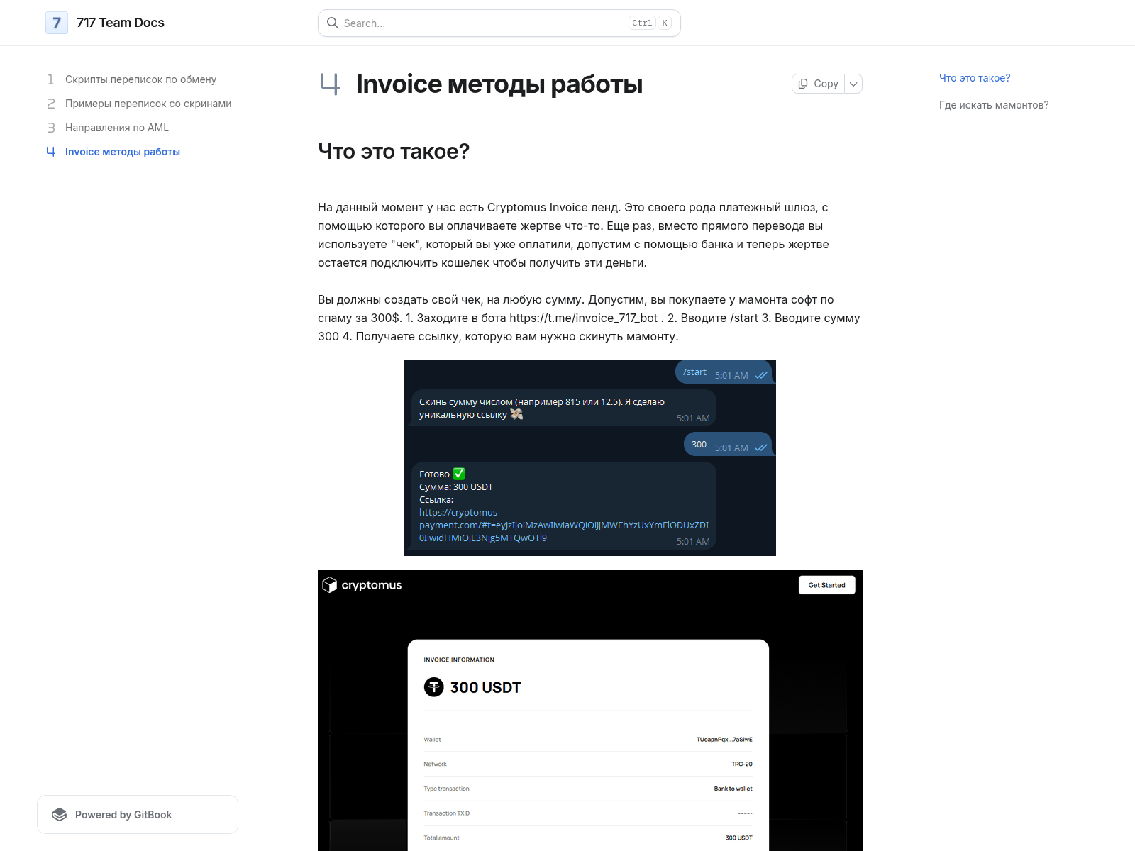 Screenshot of manual.717team.cc/invoice-metody-raboty