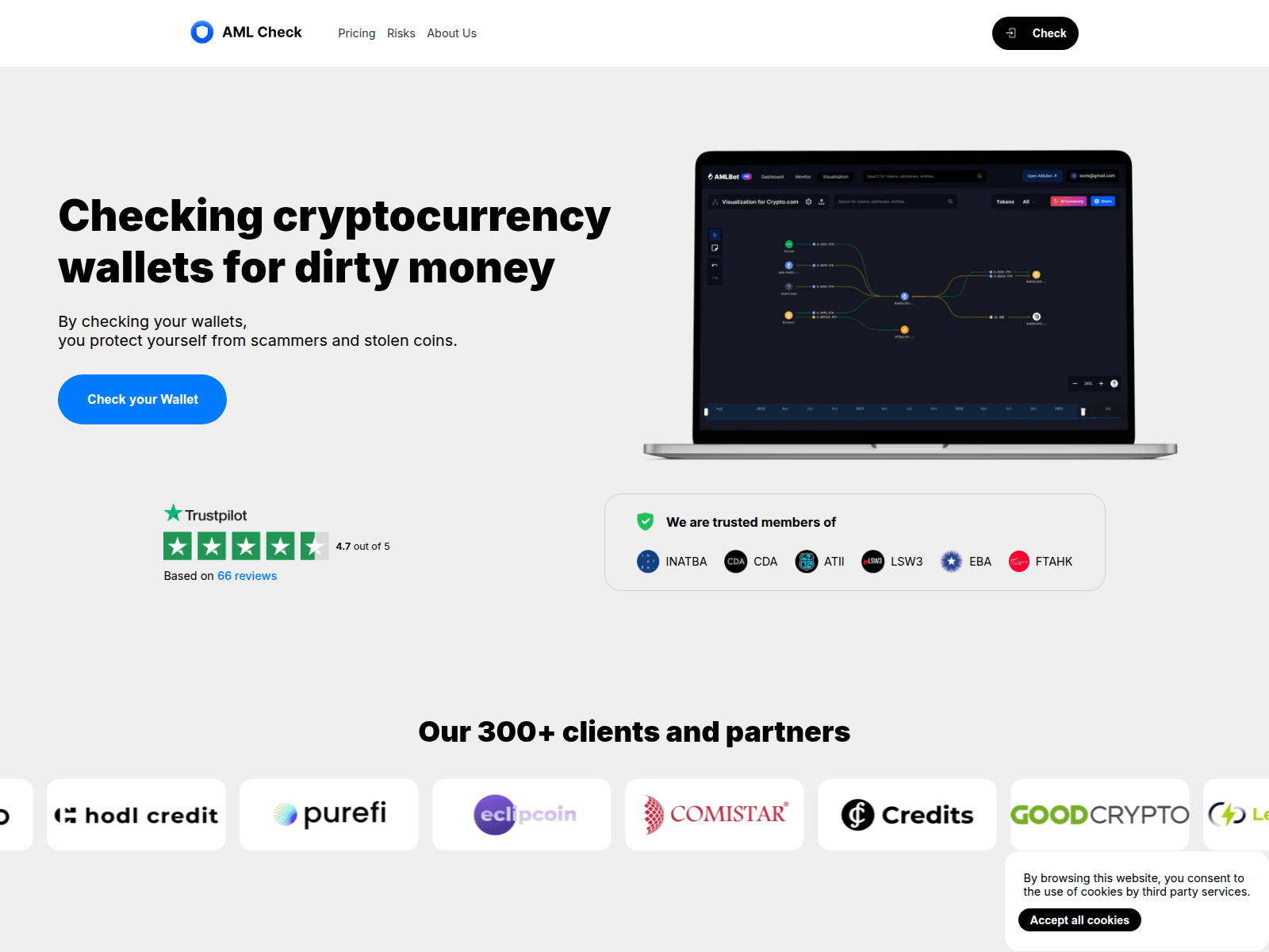 Screenshot of amlrisk.info
