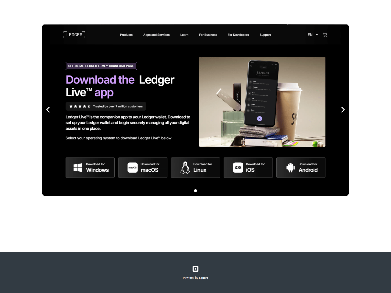 Screenshot of comstrtledger-access.square.site