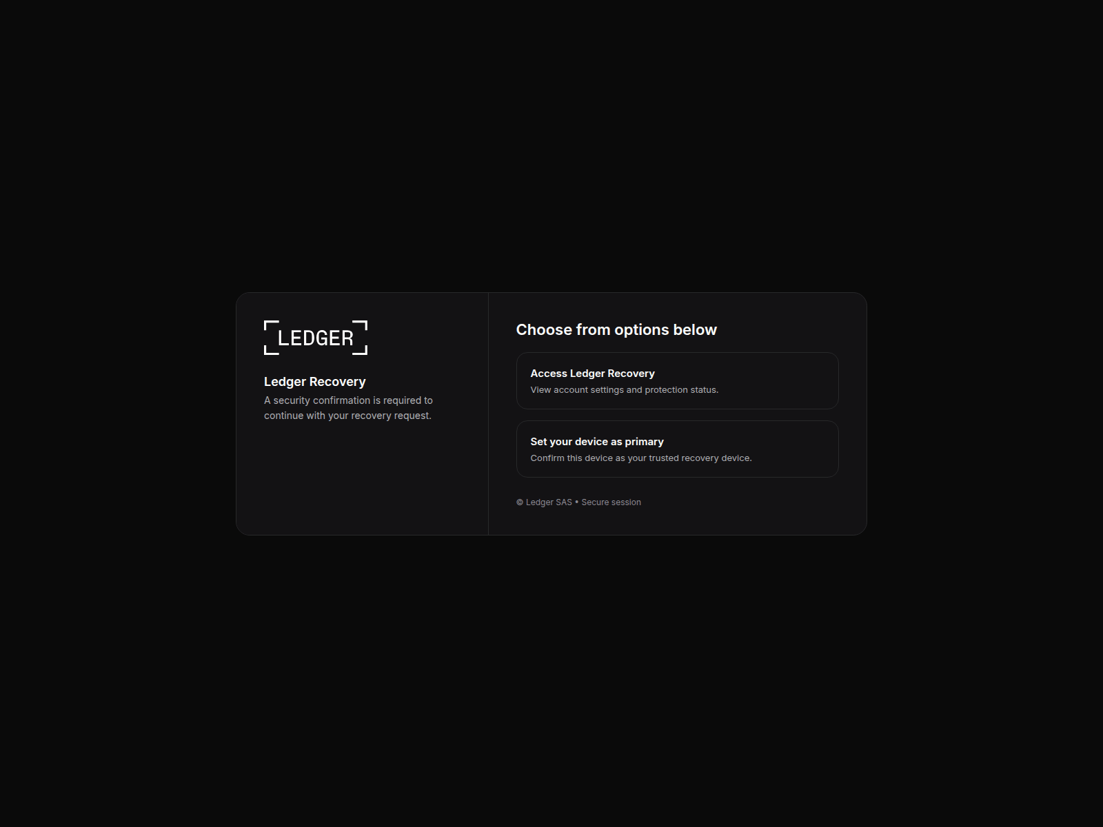 Screenshot of primary-ledger.com