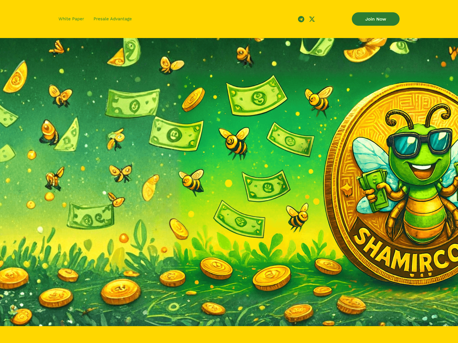 Screenshot of www.shamircoin.com