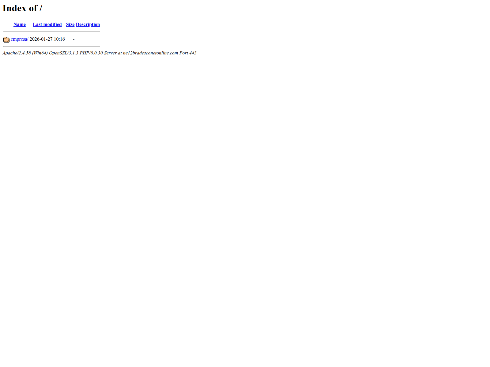 Screenshot of ne12bradesconetonline.com