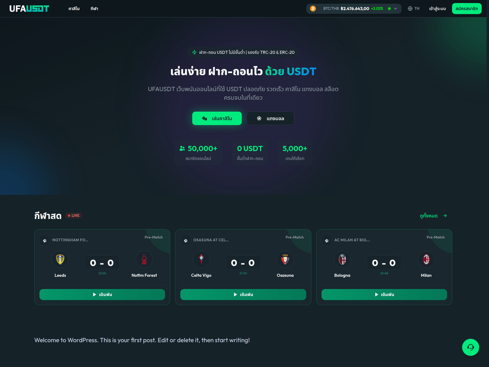Screenshot of usdtbet-ufa.com