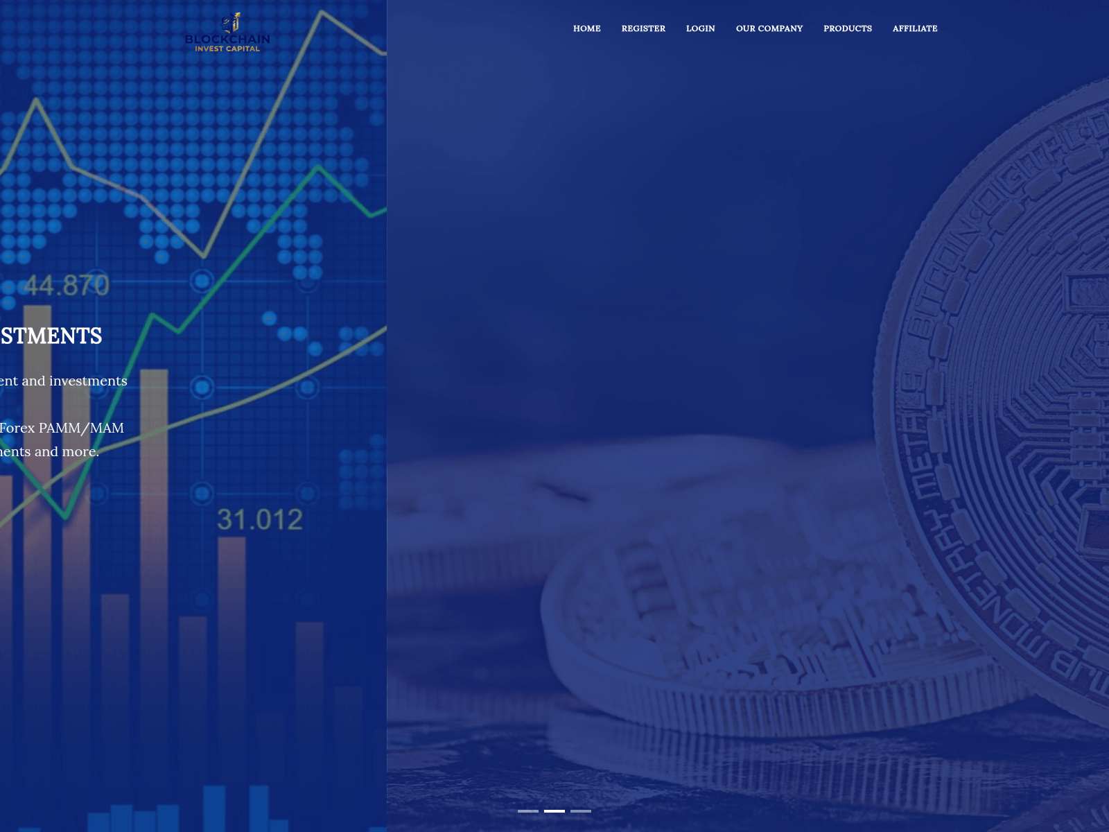 Screenshot of blockchaincapitalinvest.com