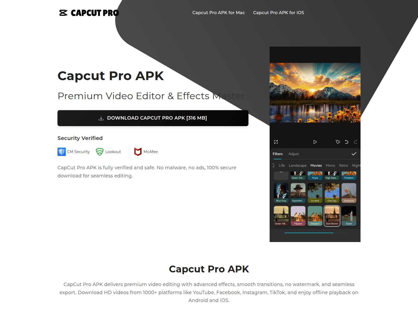 Screenshot of capcutpro.co.com
