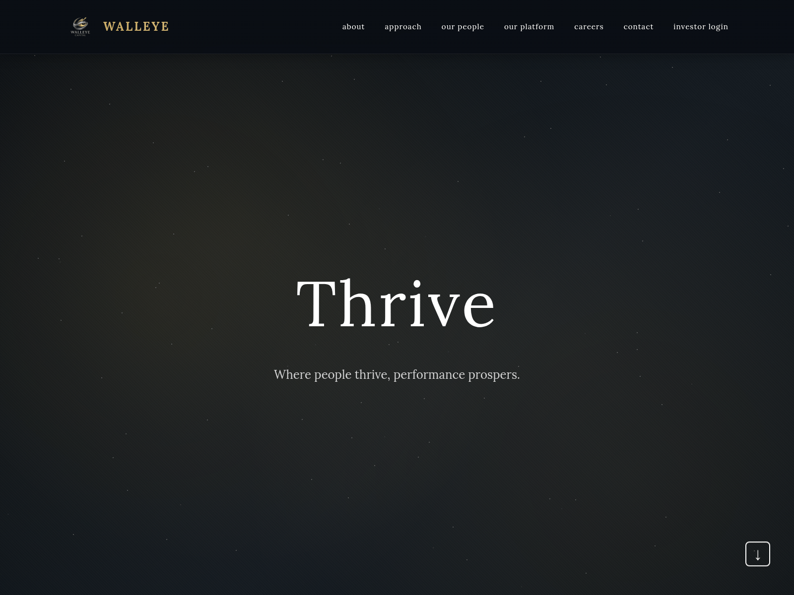 Screenshot of walleyeventure.xyz