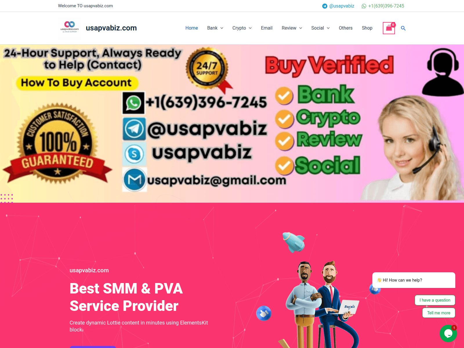 Screenshot of usapvabiz.com
