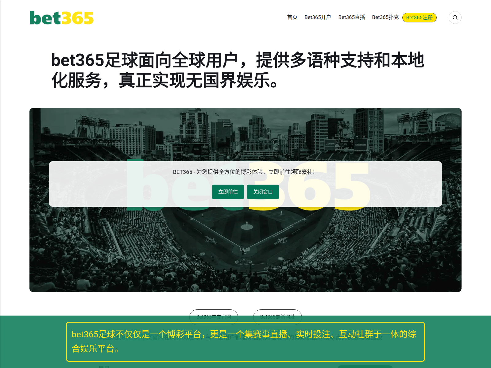Screenshot of bet365sport13.com