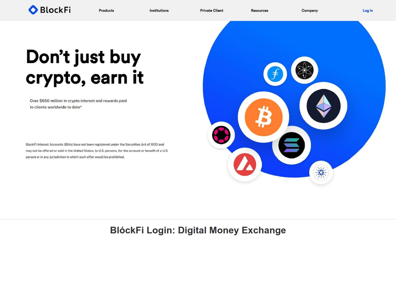 Screenshot of blokfelogon.webflow.io