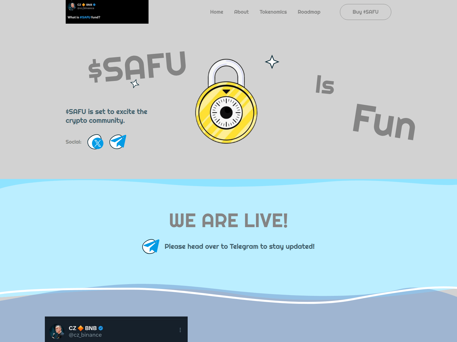 Screenshot of safucoinbnb.xyz