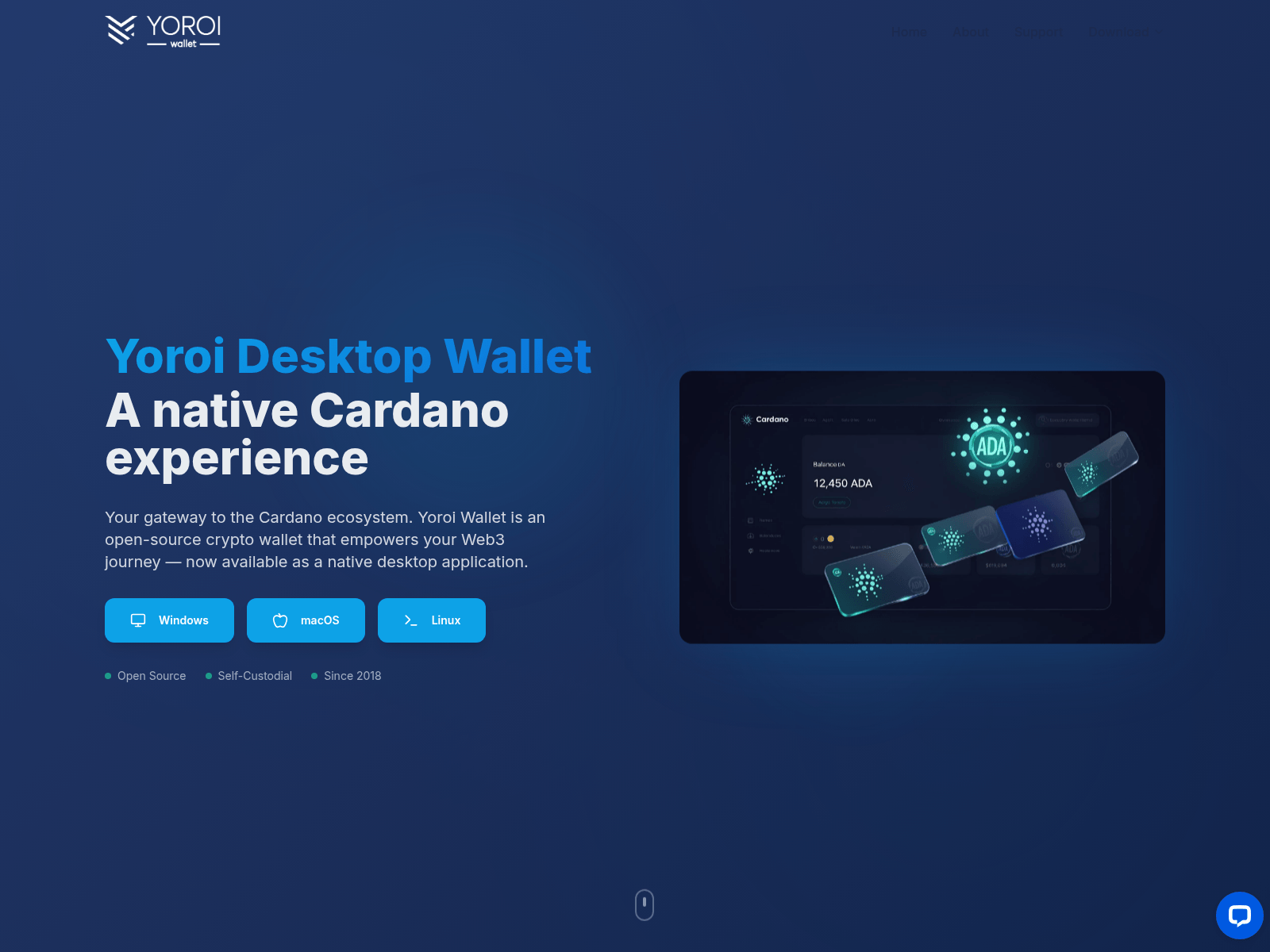 Screenshot of yoroi-desktopwallet.com