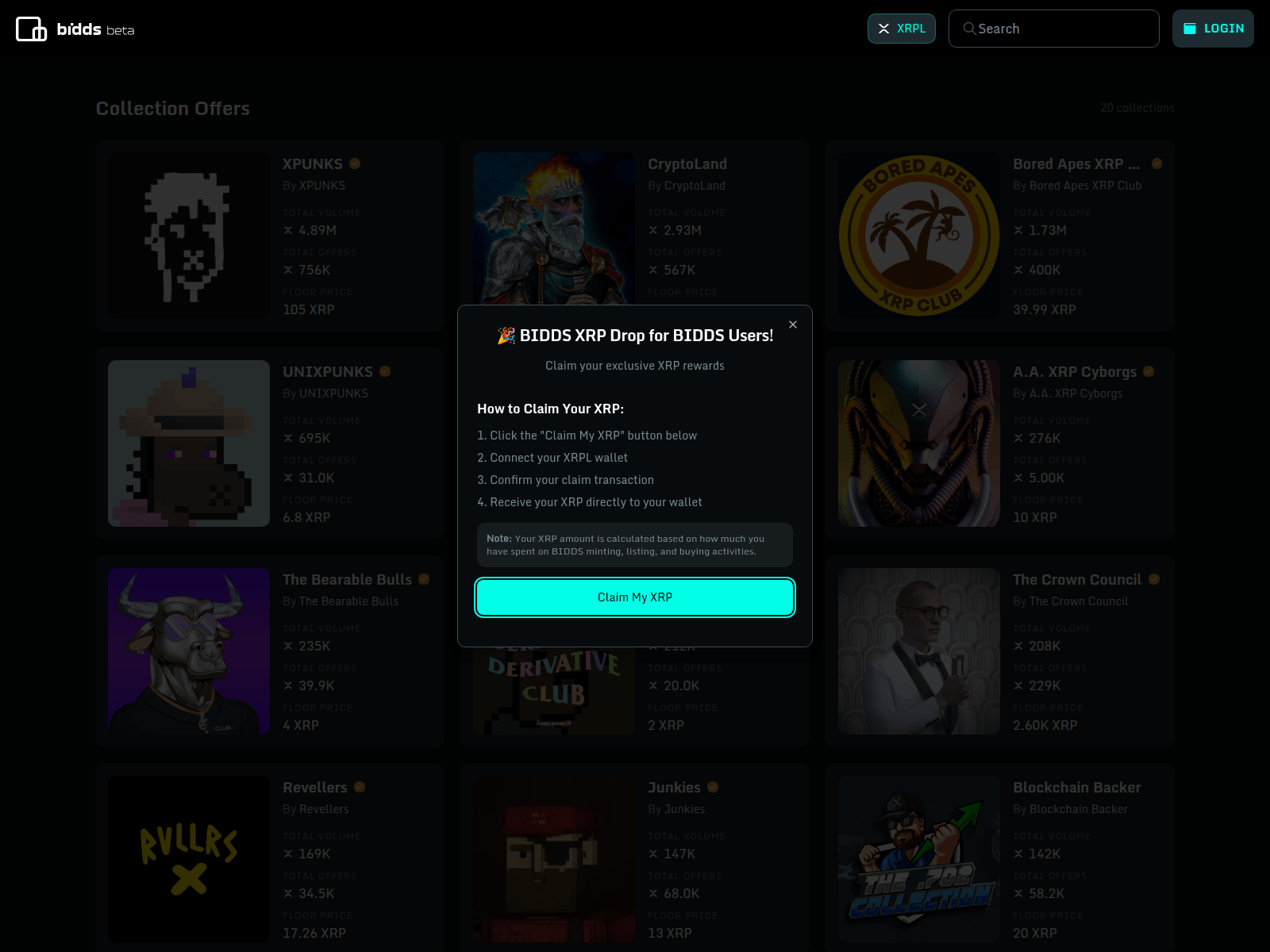 Screenshot of biddscom.icu