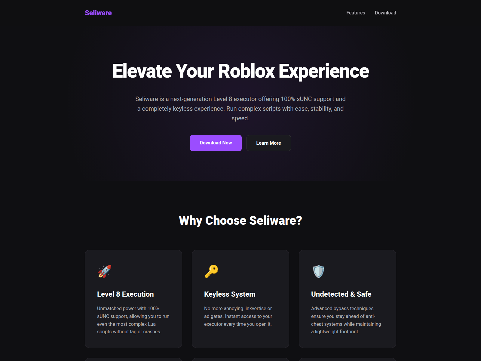Screenshot of seliware.ltd