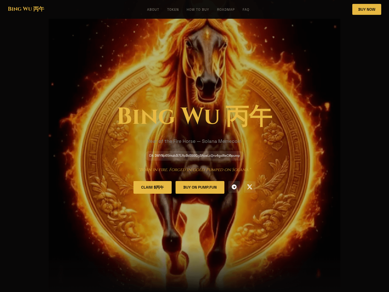 Screenshot of bingwucoins.xyz