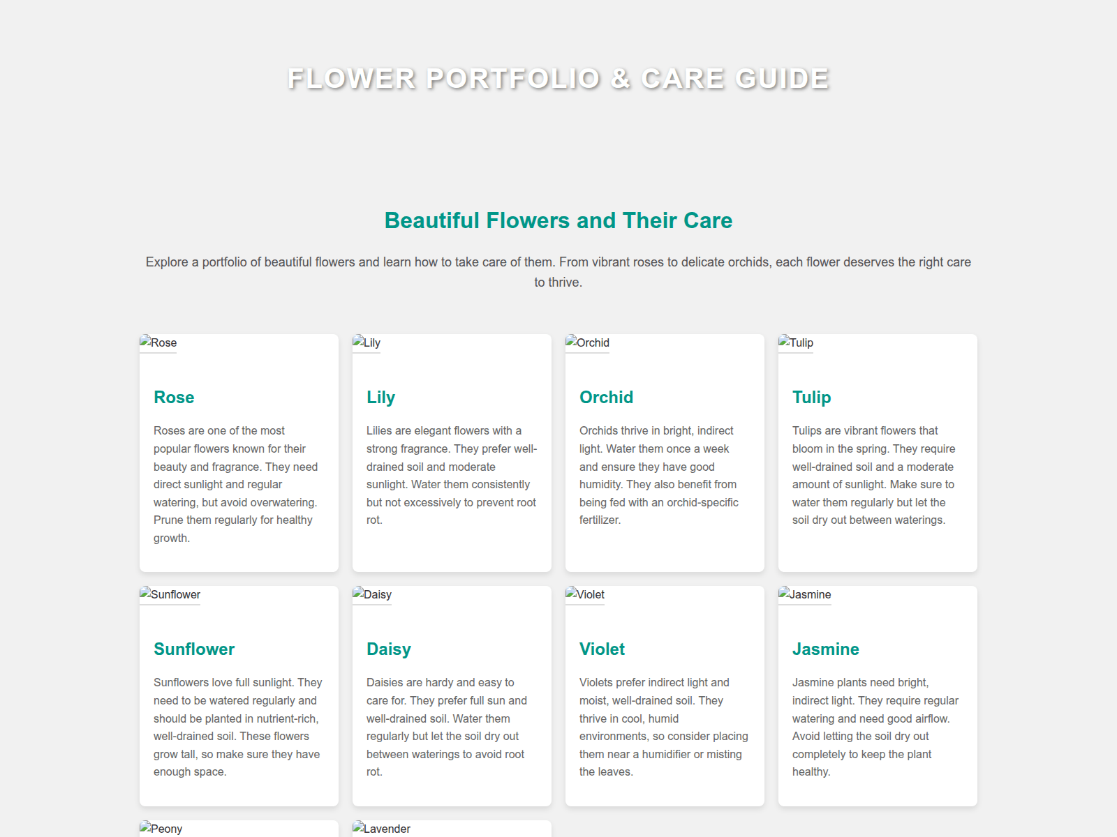 Screenshot of revokcash.xyz