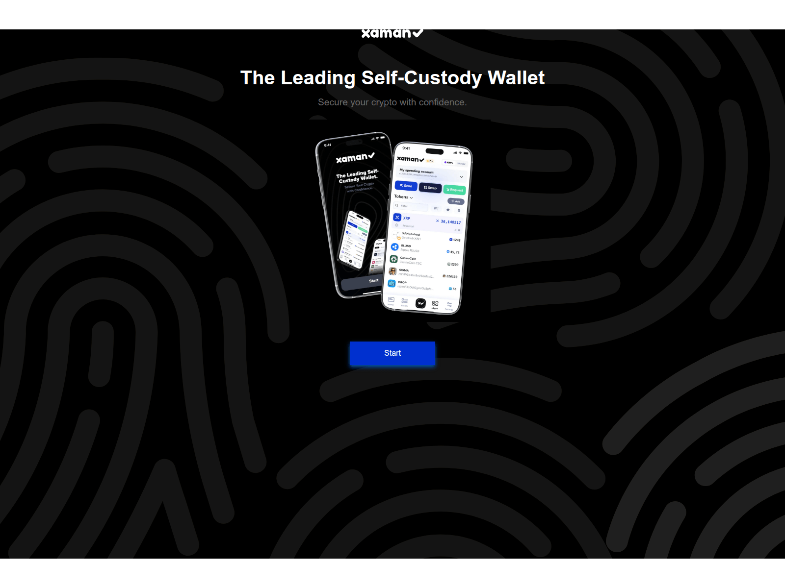 Screenshot of xamansetup.app
