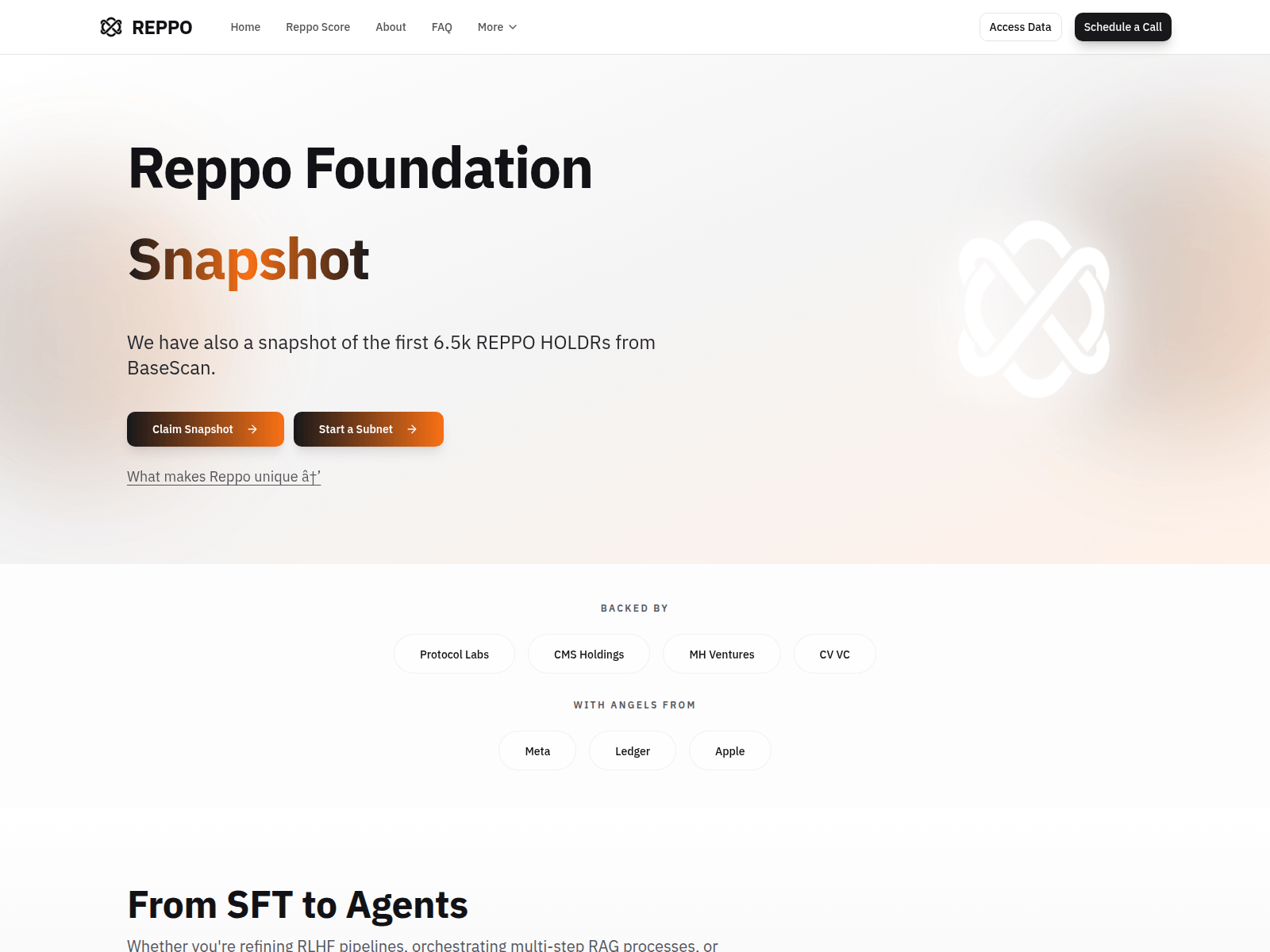 Screenshot of app-reppo.com