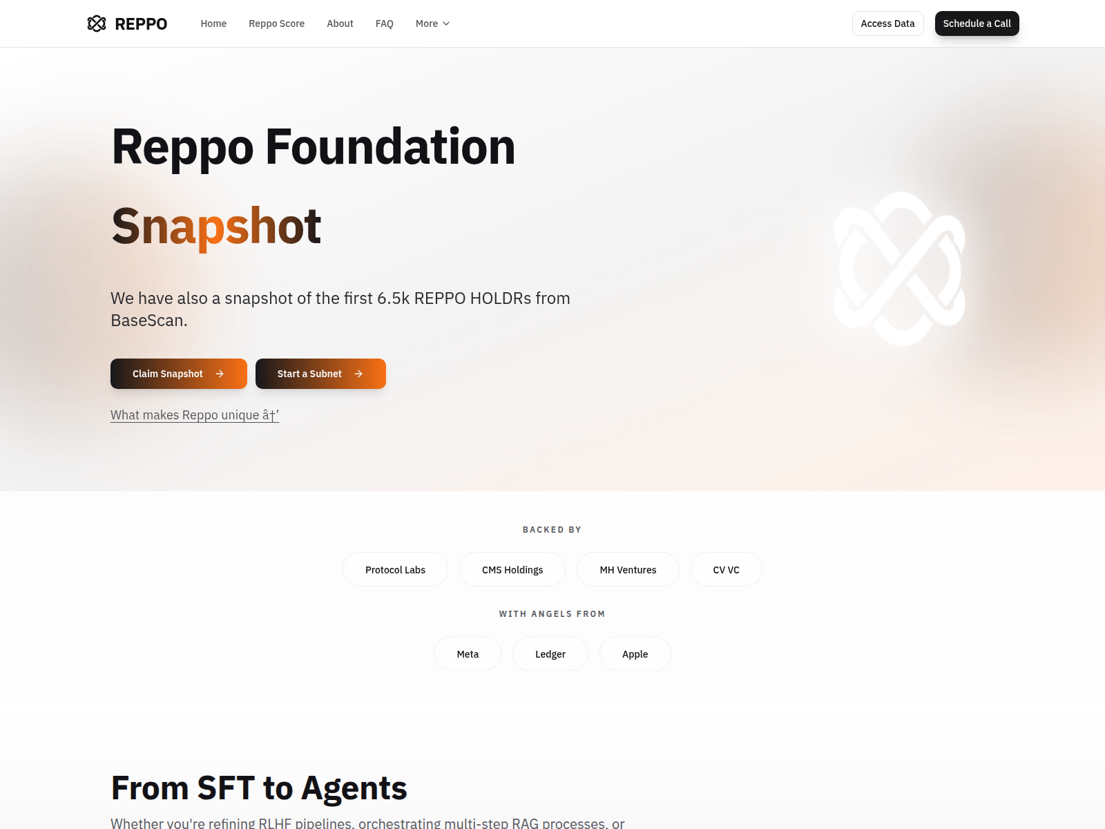 Screenshot of reppo-foundation.com