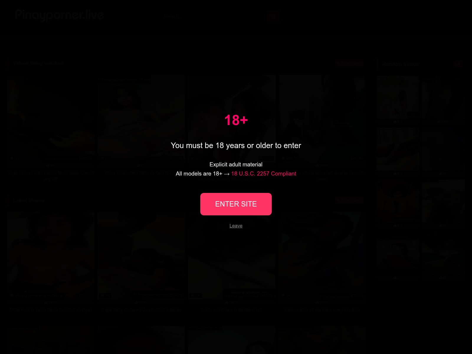 Screenshot of pinayporner.live