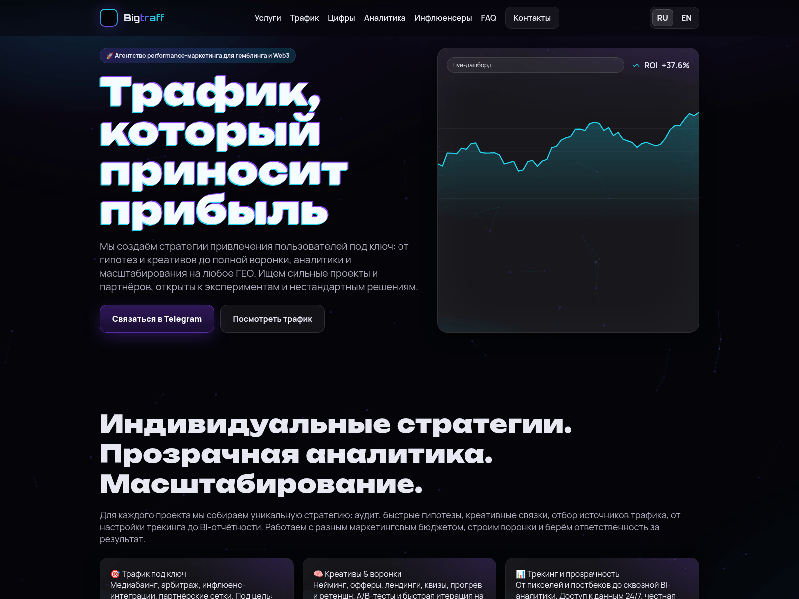 Screenshot of bigtraff.pro