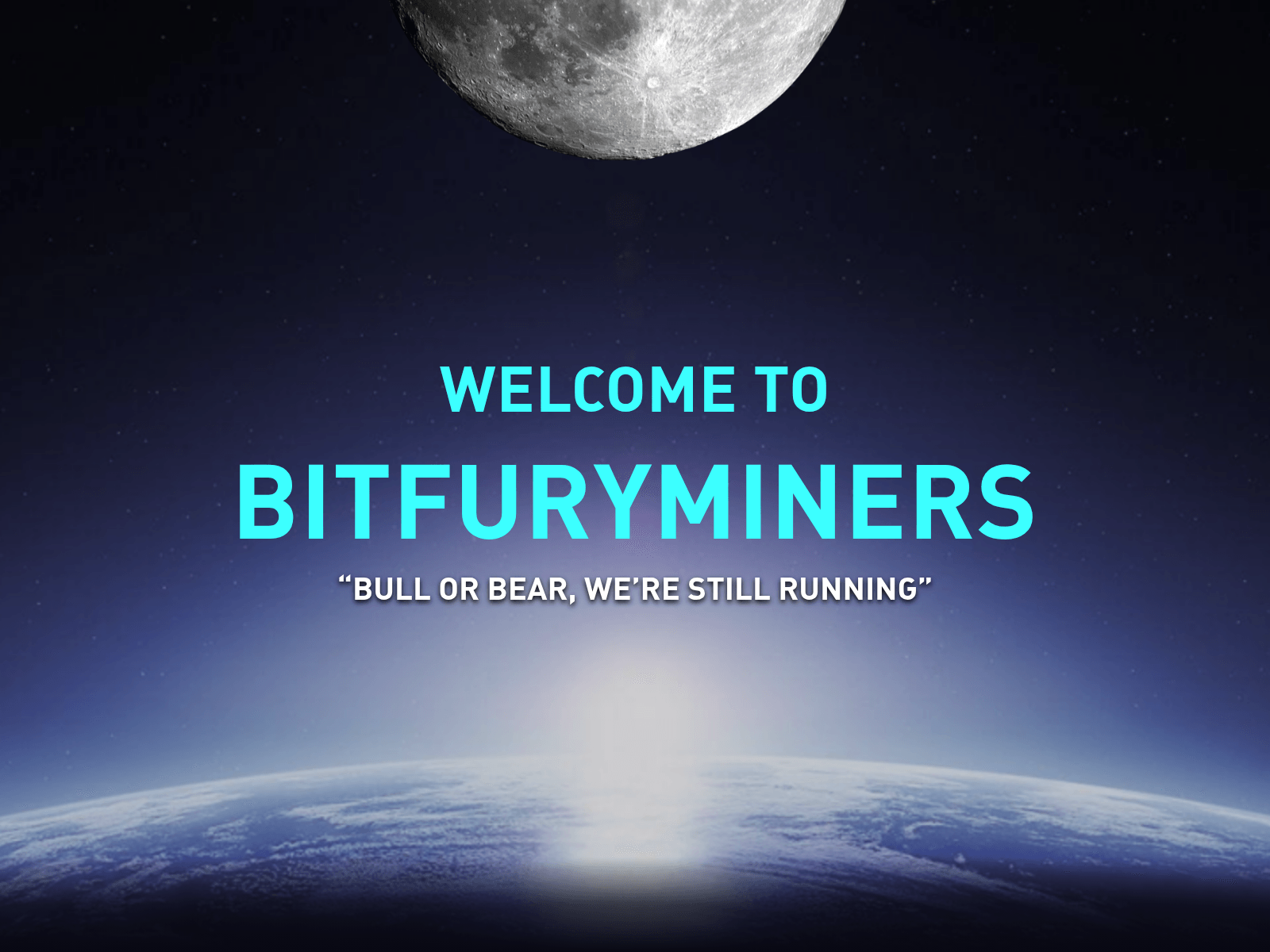 Screenshot of bitfury-miner.com