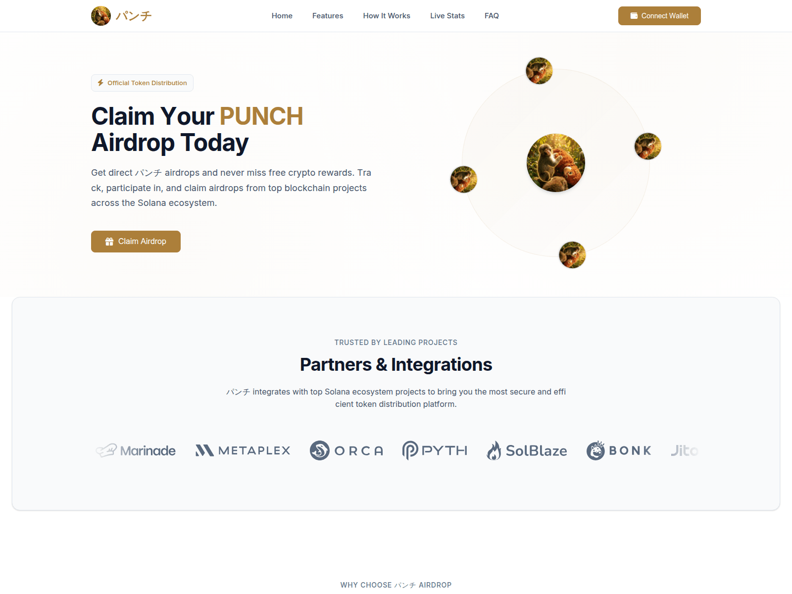 Screenshot of allocate-punch.com