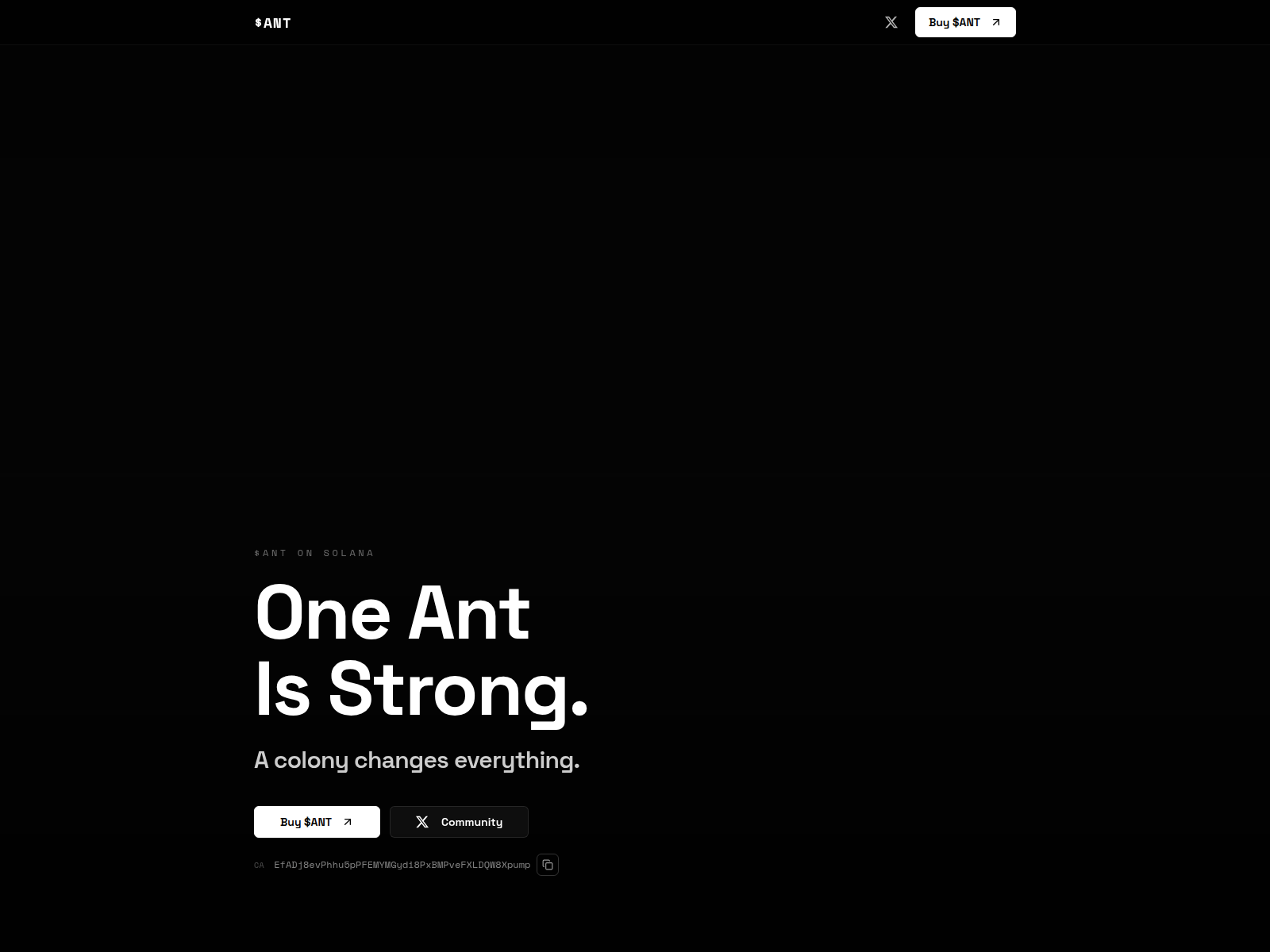 Screenshot of antcoinpump.xyz
