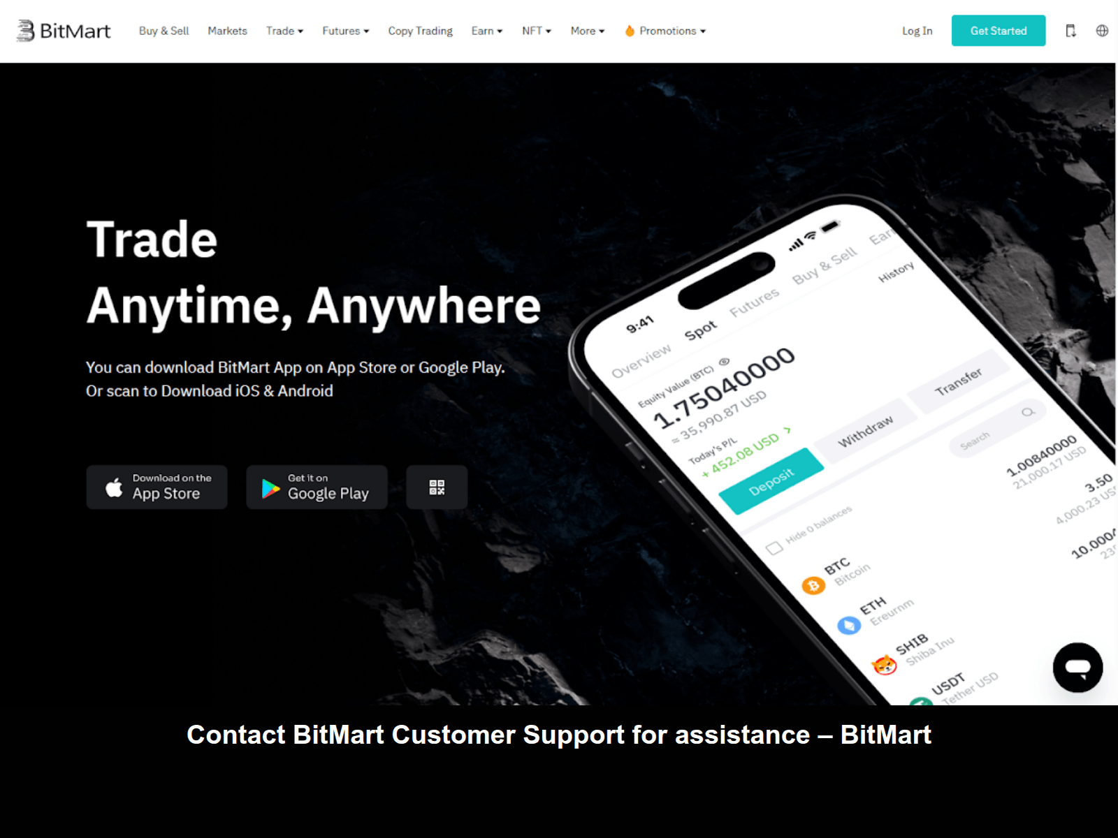 Screenshot of loggiinbitmartt.webflow.io