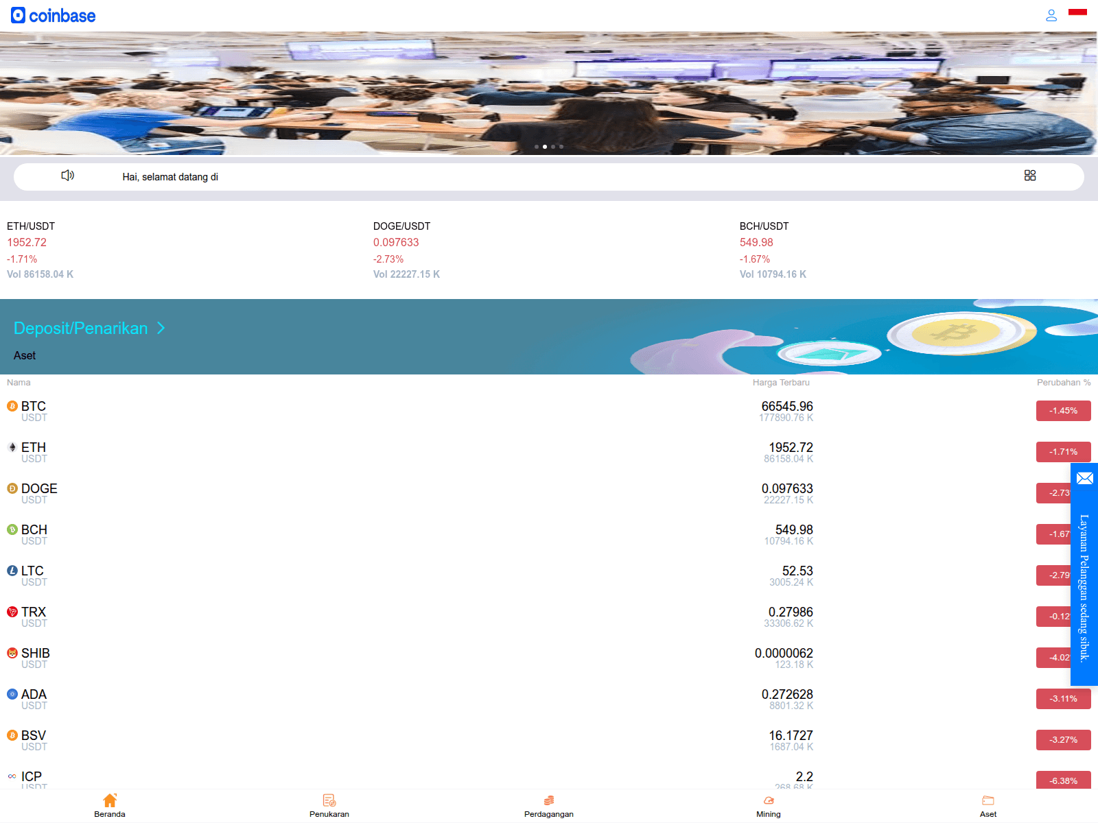 Screenshot of coinbsim.com