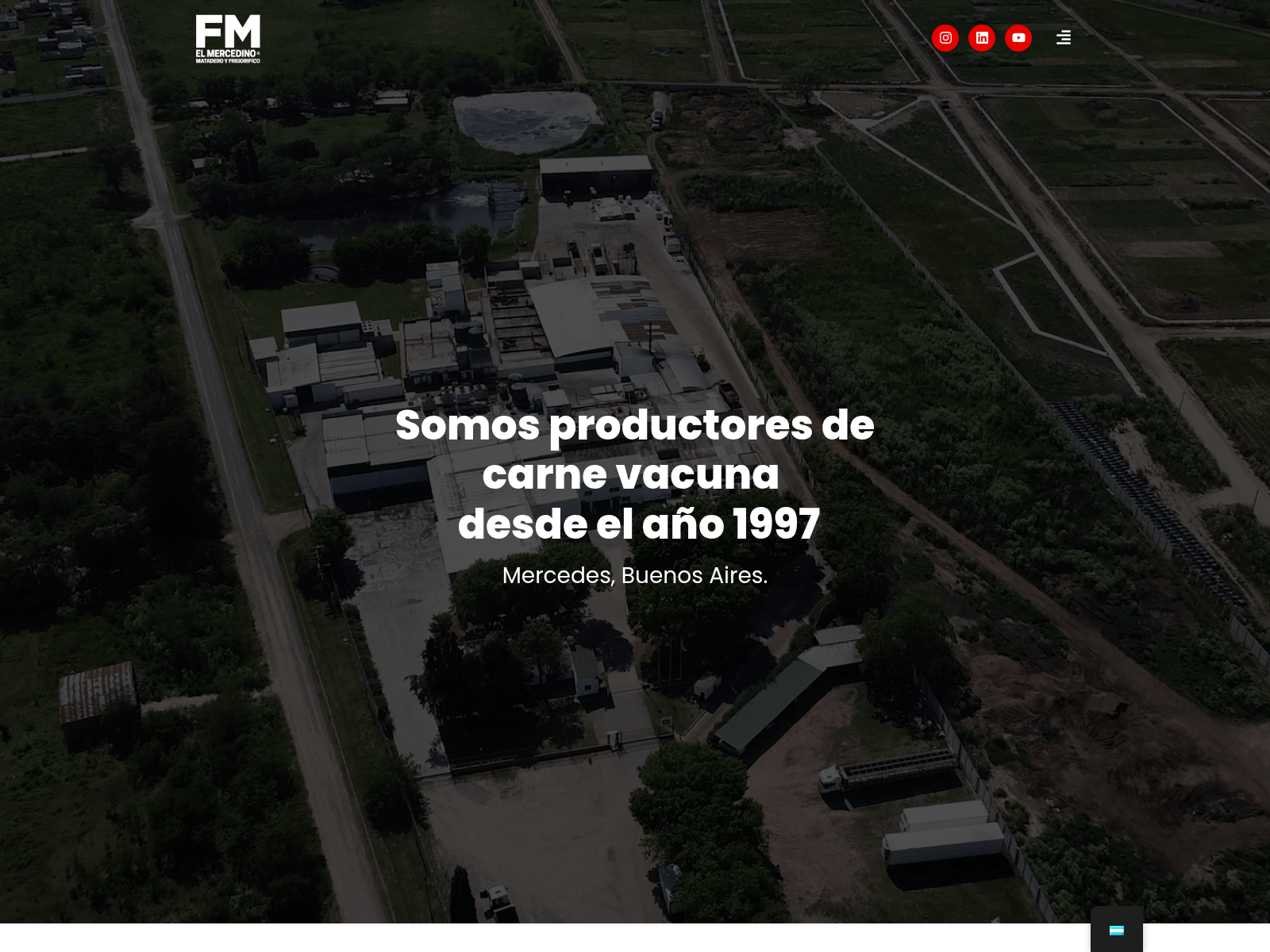 Screenshot of elmercedino.com