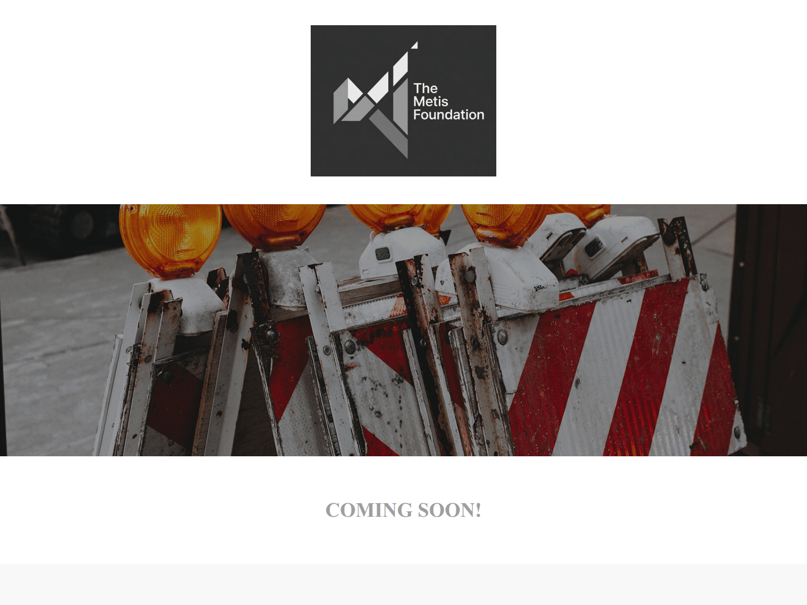 Screenshot of themetisfoundation.org