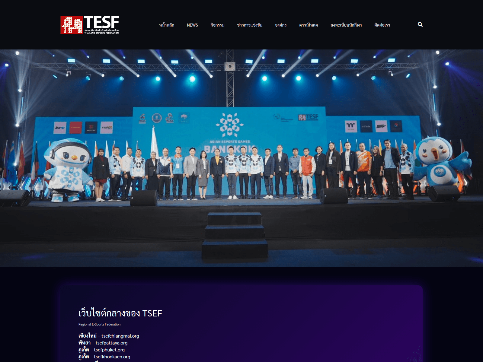 Screenshot of tesfudonthani.org