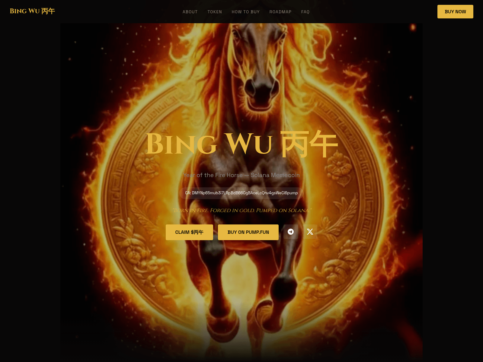 Screenshot of bingwucoin.fun