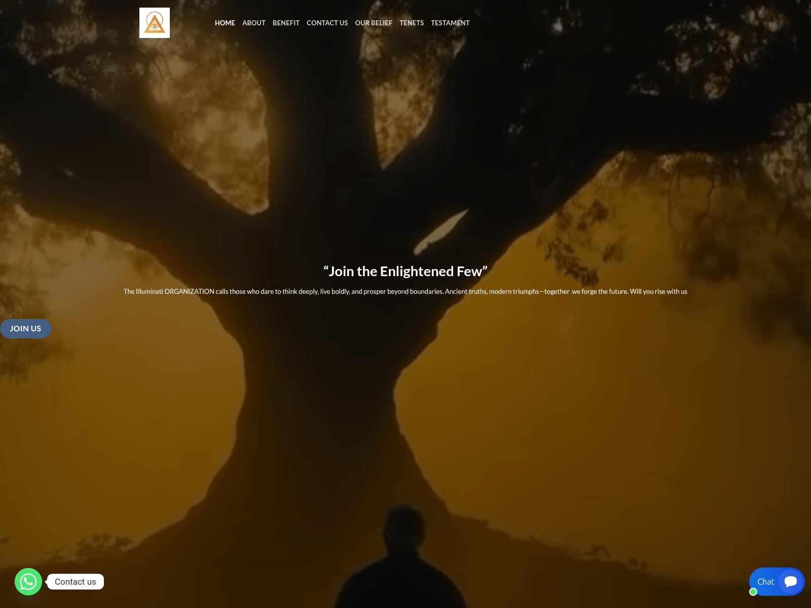 Screenshot of theilluminatibook.org