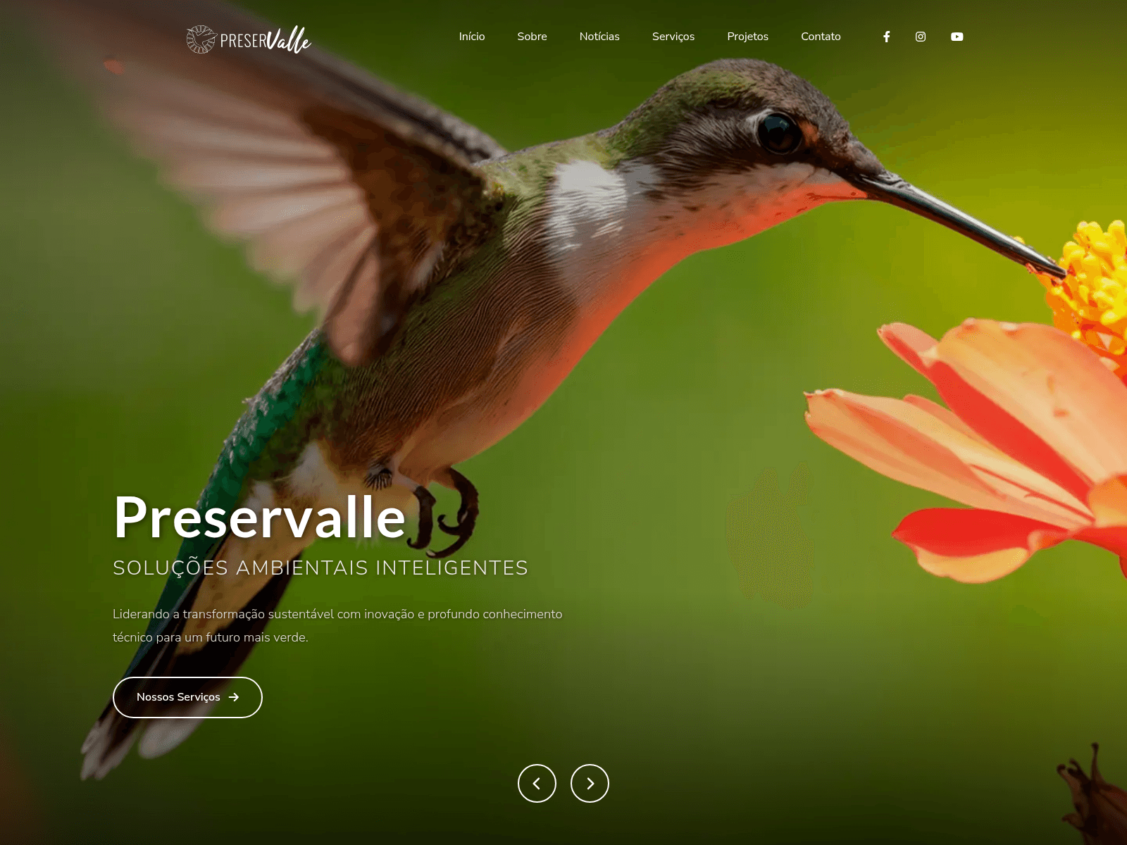 Screenshot of preservalle.com.br