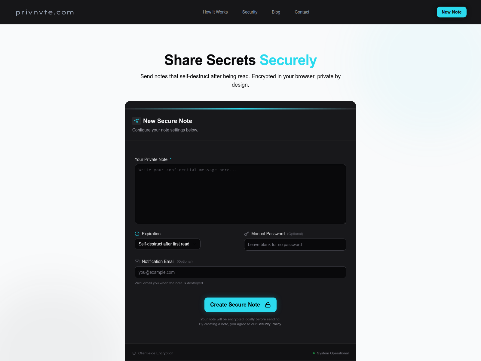 Screenshot of privnvte.com