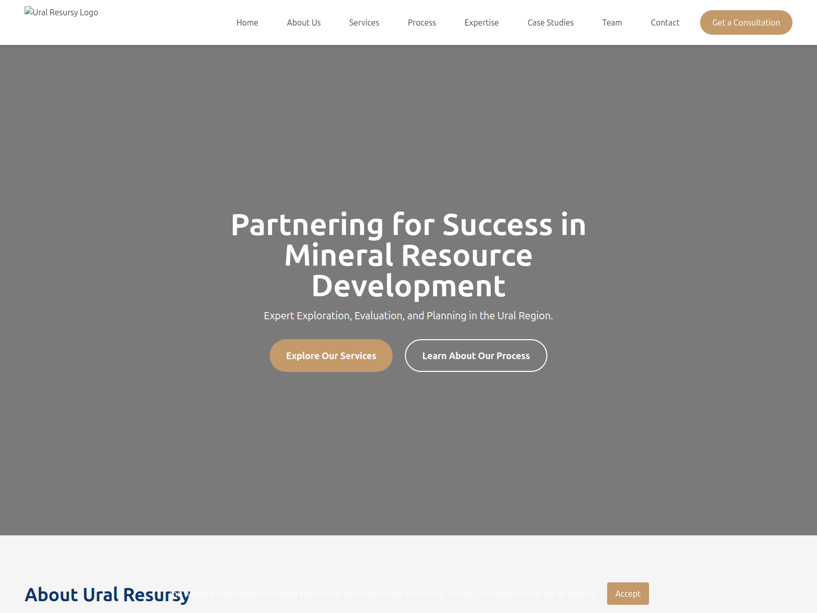 Screenshot of avitosec.ru
