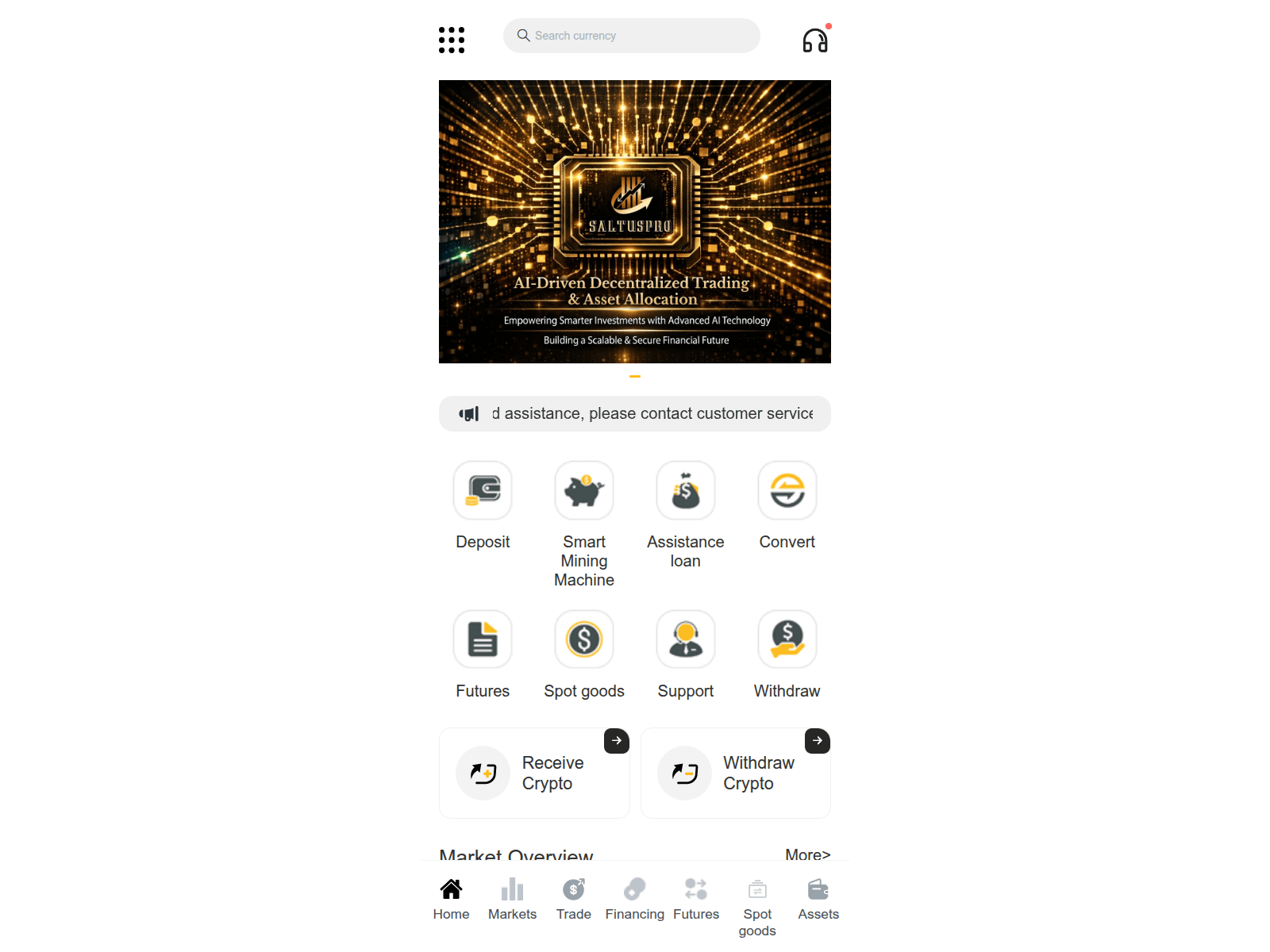 Screenshot of saltuspro.vip