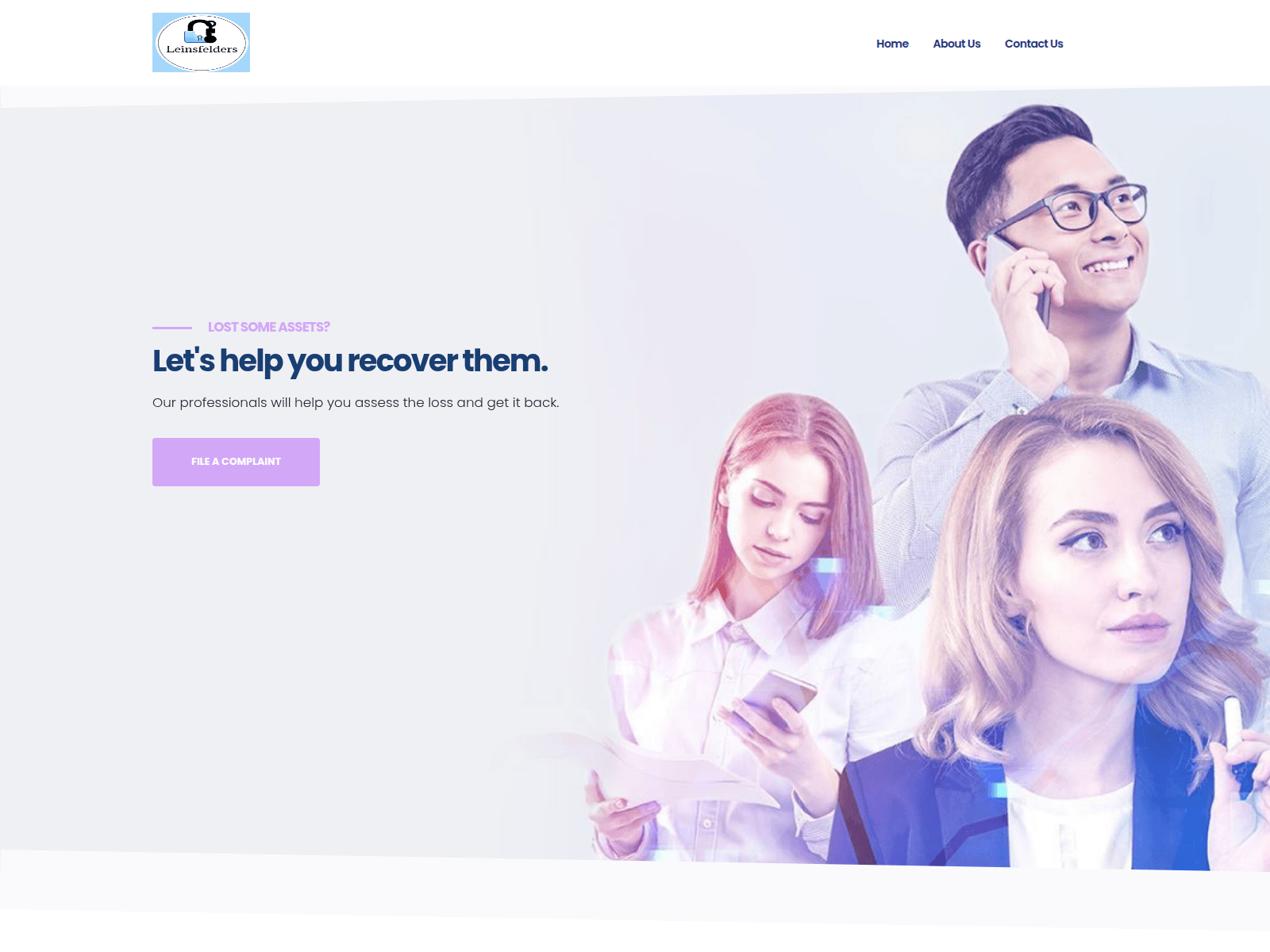 Screenshot of leinsfelders.com