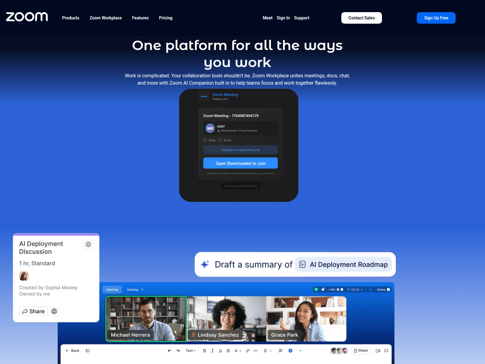 Screenshot of zoomworkplace-connect.com