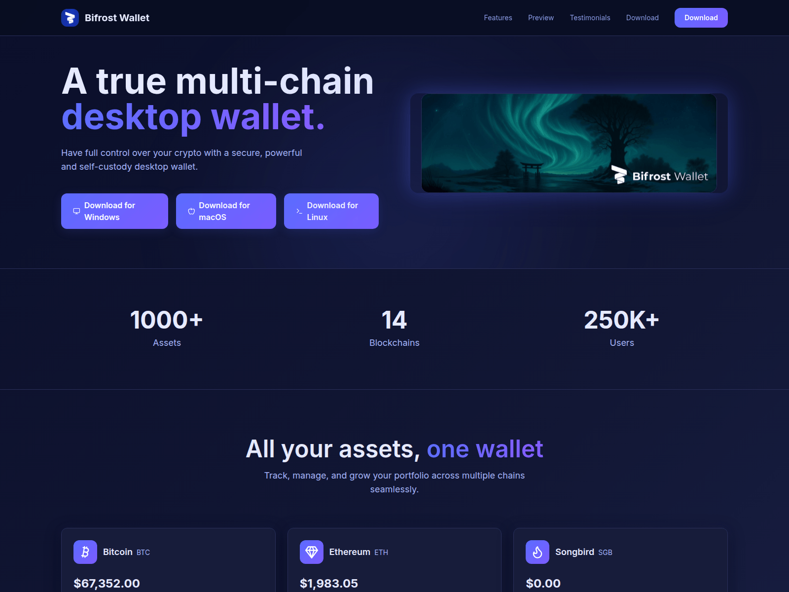 Screenshot of desktopwallet-installer.icu