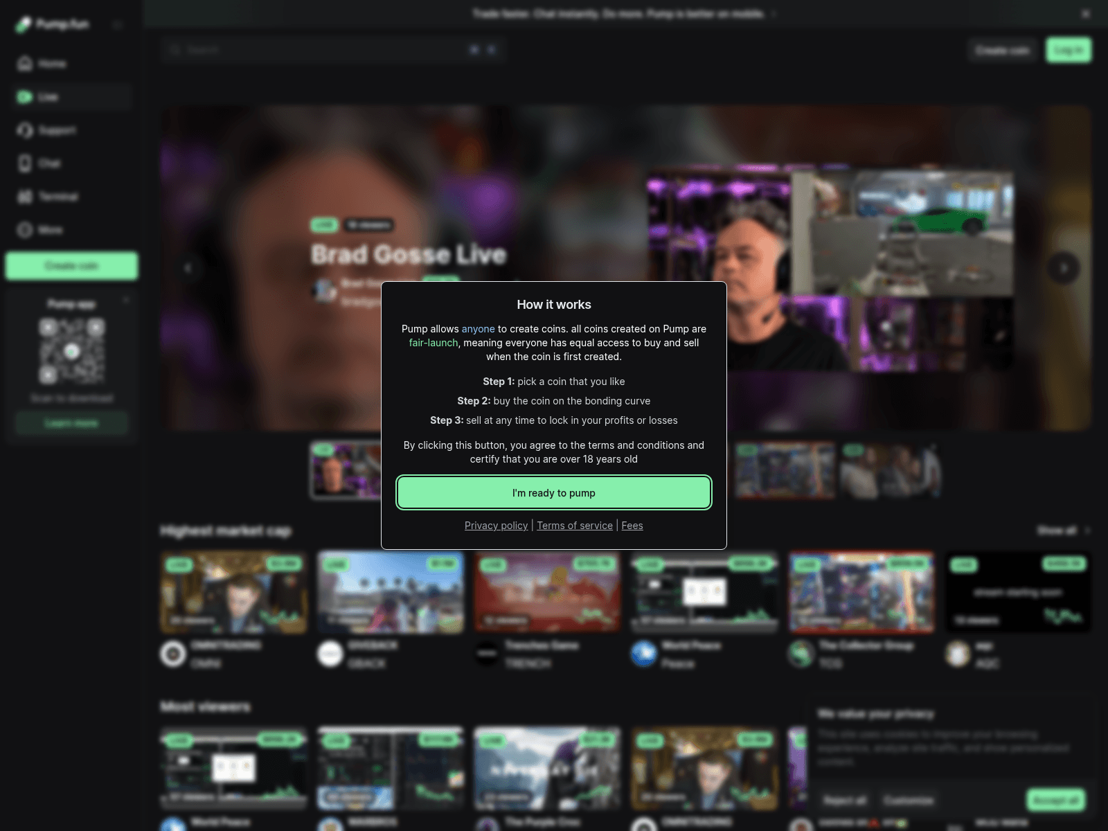 Screenshot of xn--pnp-50a.fun