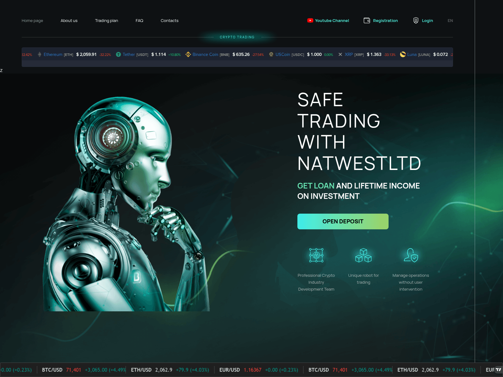 Screenshot of natwestlimited.com