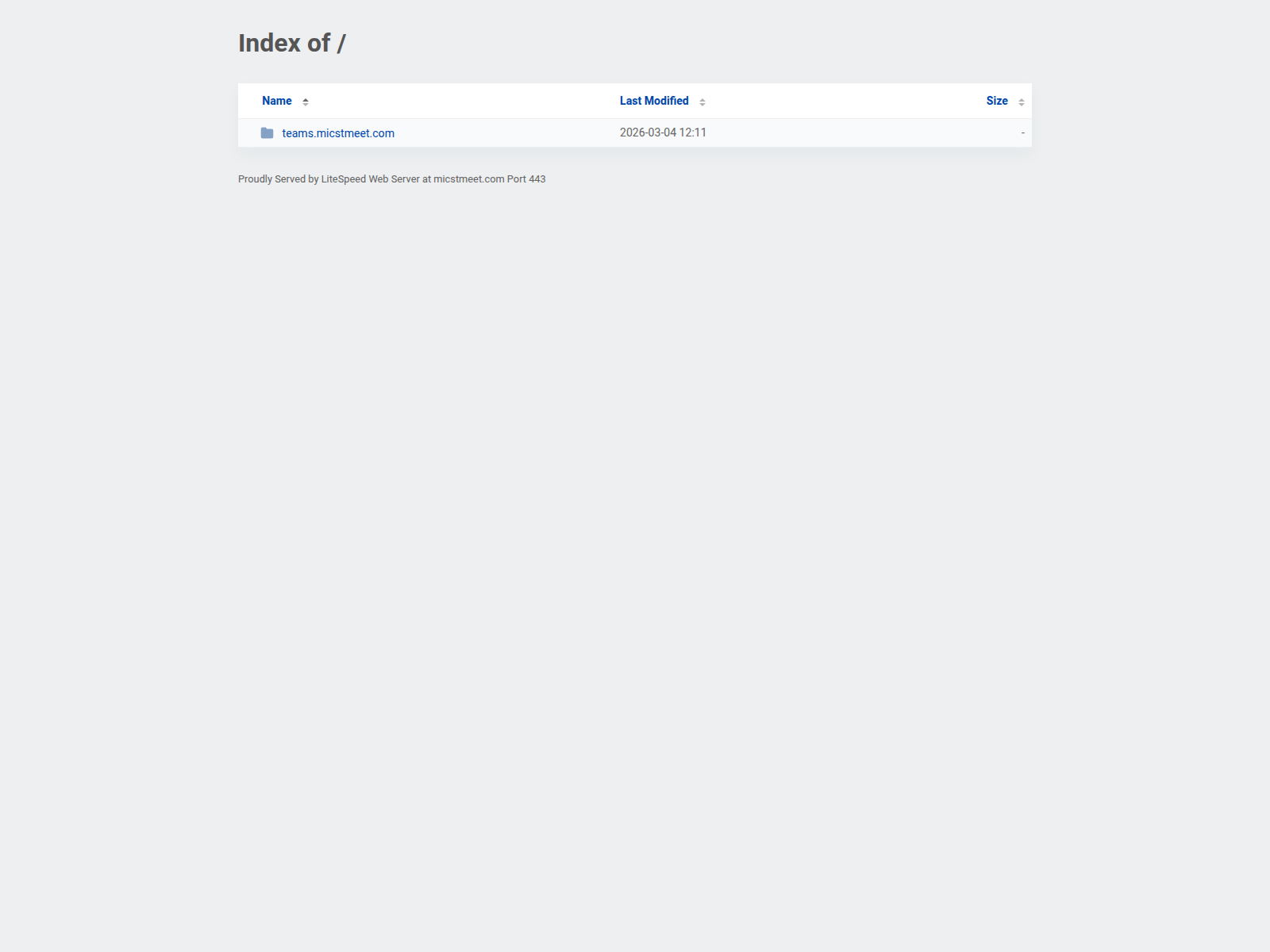 Screenshot of micstmeet.com