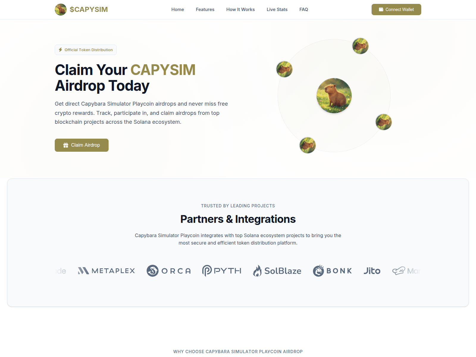 Screenshot of capybara.networkbless.com